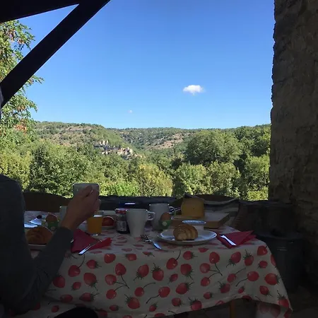 度假居 Domaine Mas De Galy *